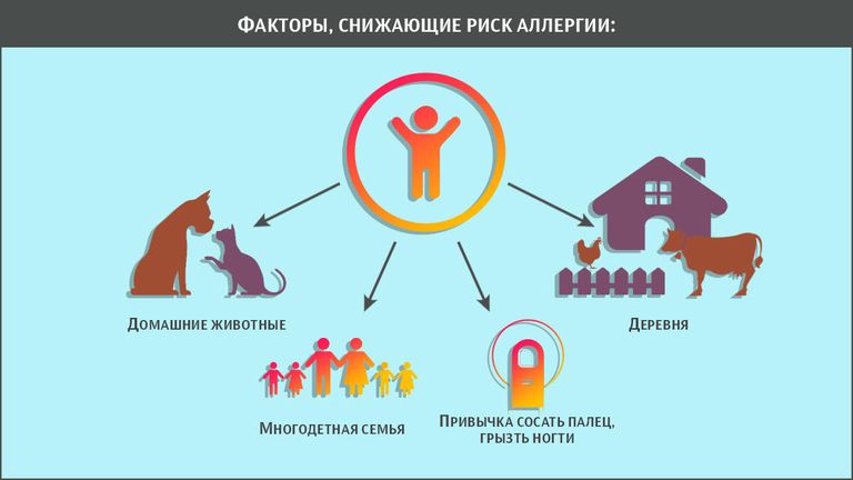 Факторы, снижающие риск аллергии