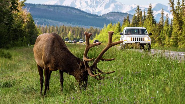 Канада, национальный парк Banff Канада, национальный парк Banff