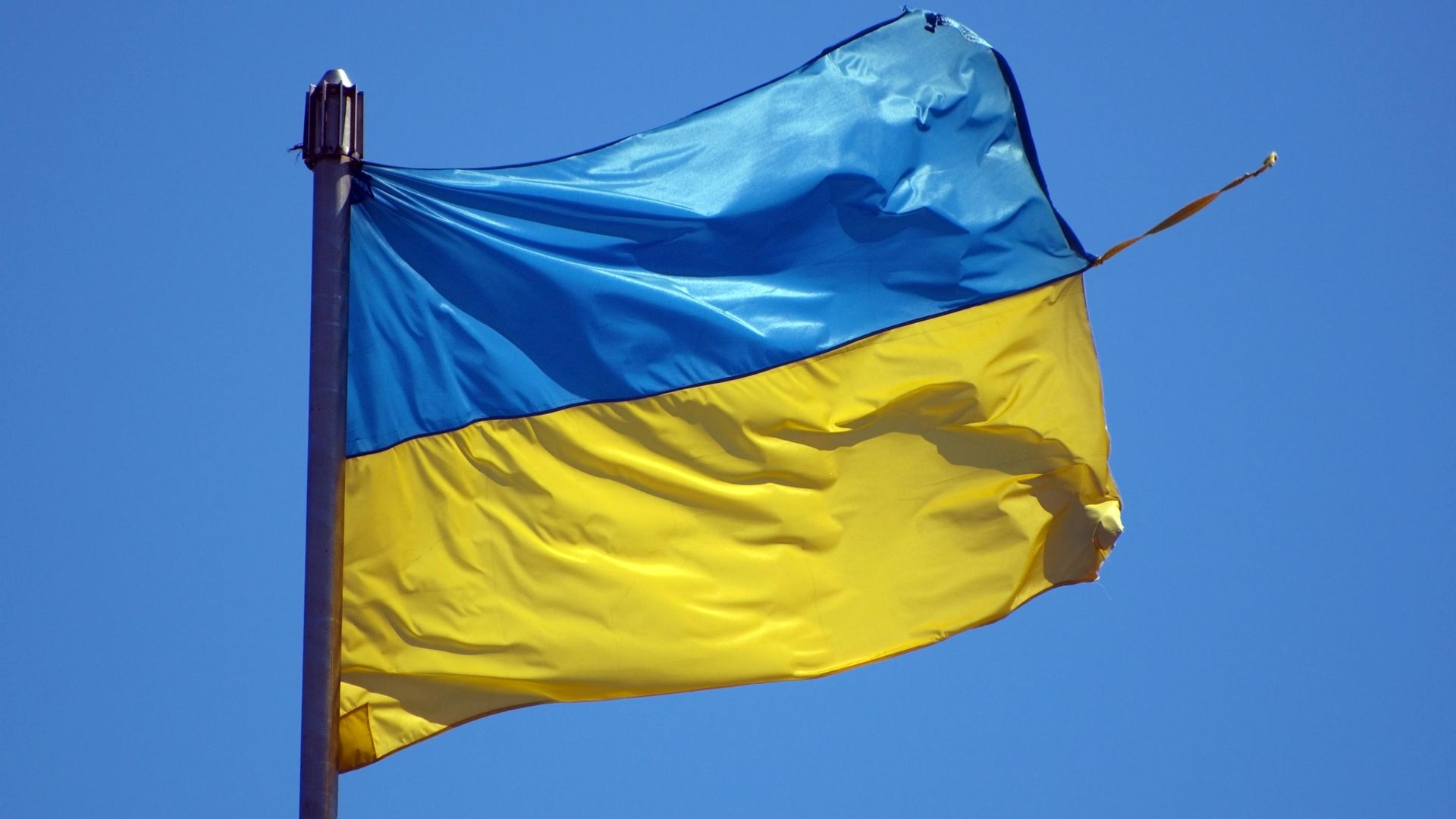 Флаг Украины Флаг Украины - РИА Новости, 1920, 03.02.2026