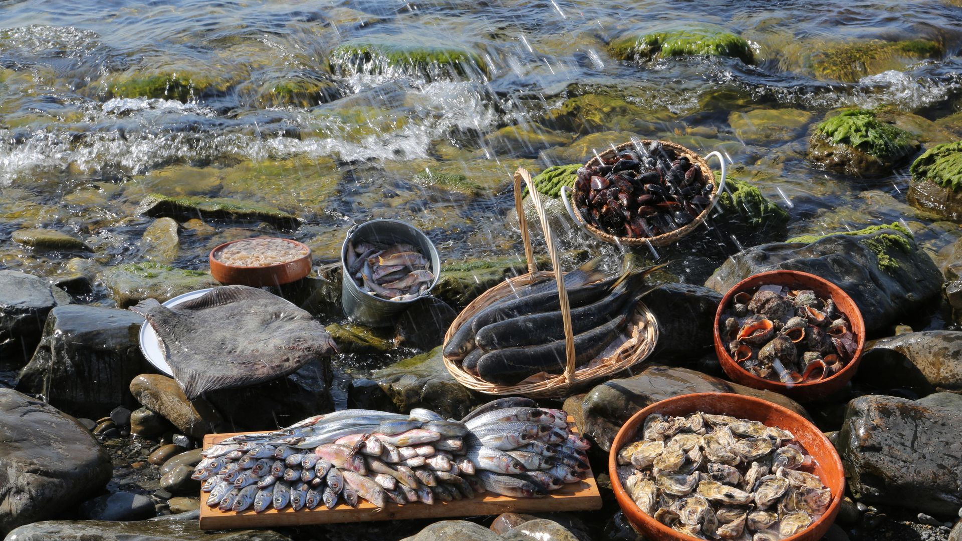 Морепродукты  - РИА Новости, 1920, 07.07.2026