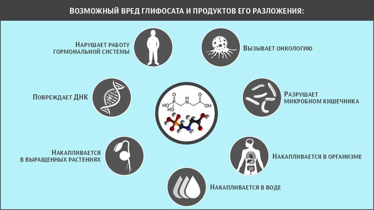 Возможный вред глифосата и продуктов его разложения