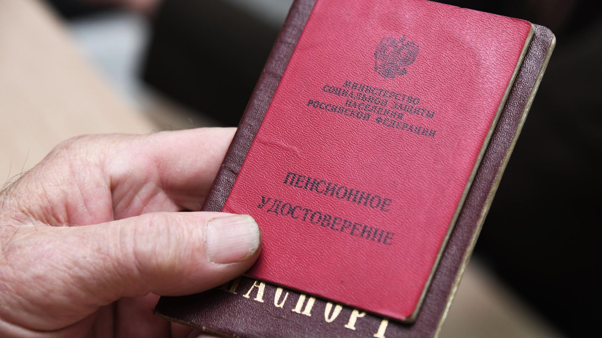 Мужчина демонстрирует пенсионное удостоверение Мужчина демонстрирует пенсионное удостоверение - РИА Новости, 1920, 23.12.2020