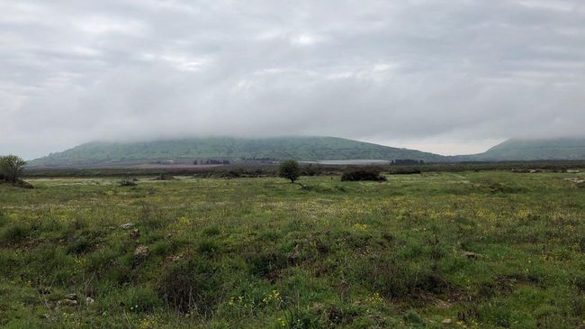 Вид на оккупированную Израилем часть Голанских высот с сирийской территории Вид на оккупированную Израилем часть Голанских высот с сирийской территории