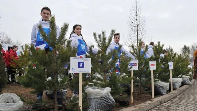 Памятная аллея в Ижевске в честь перехода республики на цифровое телевещание. 6 апреля 2019 Памятная аллея в Ижевске в честь перехода республики на цифровое телевещание. 6 апреля 2019