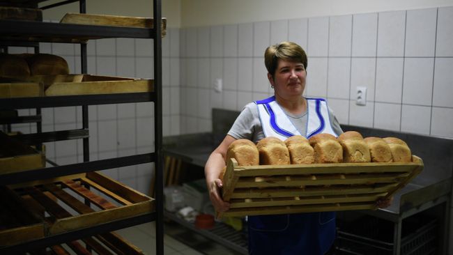 Выпечка хлеба Выпечка хлеба