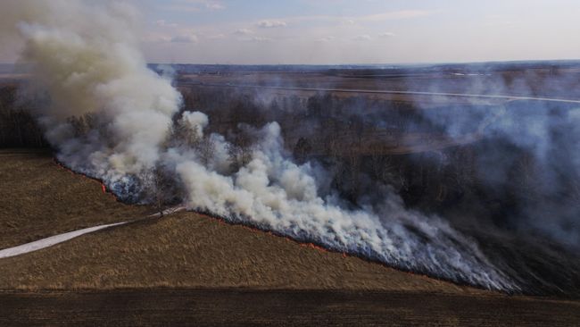Сухая трава горит в поле в Ленинск-Кузнецком районе Кемеровской области Сухая трава горит в поле в Ленинск-Кузнецком районе Кемеровской области