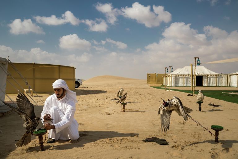 Falcons and the Arab Influence фотографа Brent Stirton, занявшего первое место в категории NATURE - STORIES в фотоконкурсе World Press Photo 2019 Falcons and the Arab Influence фотографа Brent Stirton, занявшего первое место в категории NATURE - STORIES в фотоконкурсе World Press Photo 2019