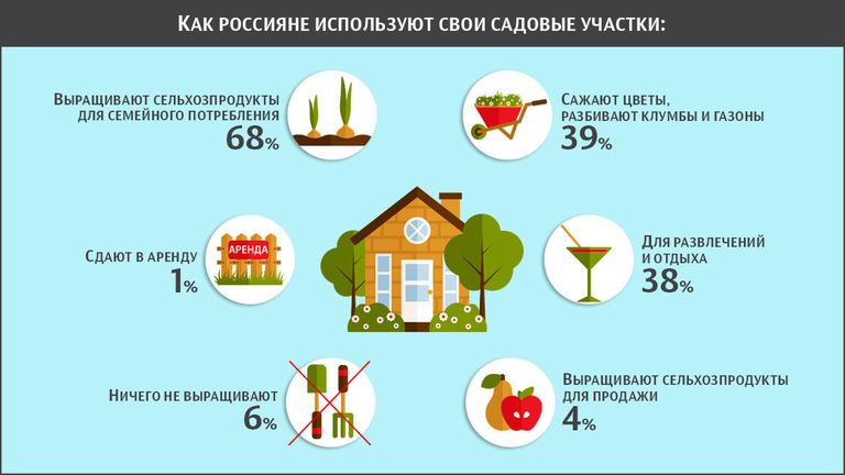 Использование дачных участков