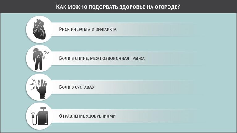 Как можно подорвать здоровье на огороде?