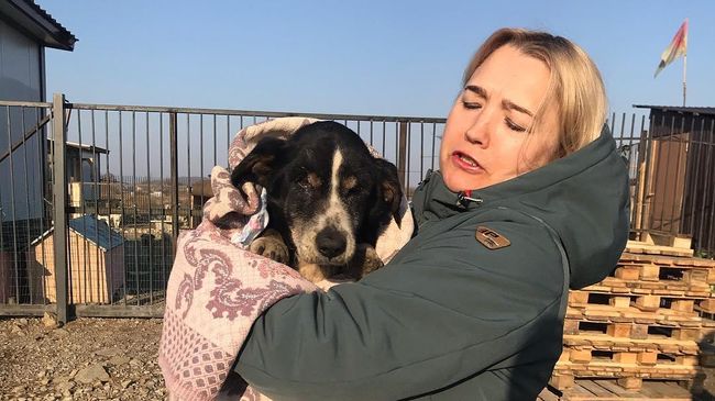 Собака, которую ее хозяева сочли умершей и похоронили, в приюте Открой свое сердце в Уссурийске Собака, которую ее хозяева сочли умершей и похоронили, в приюте Открой свое сердце в Уссурийске
