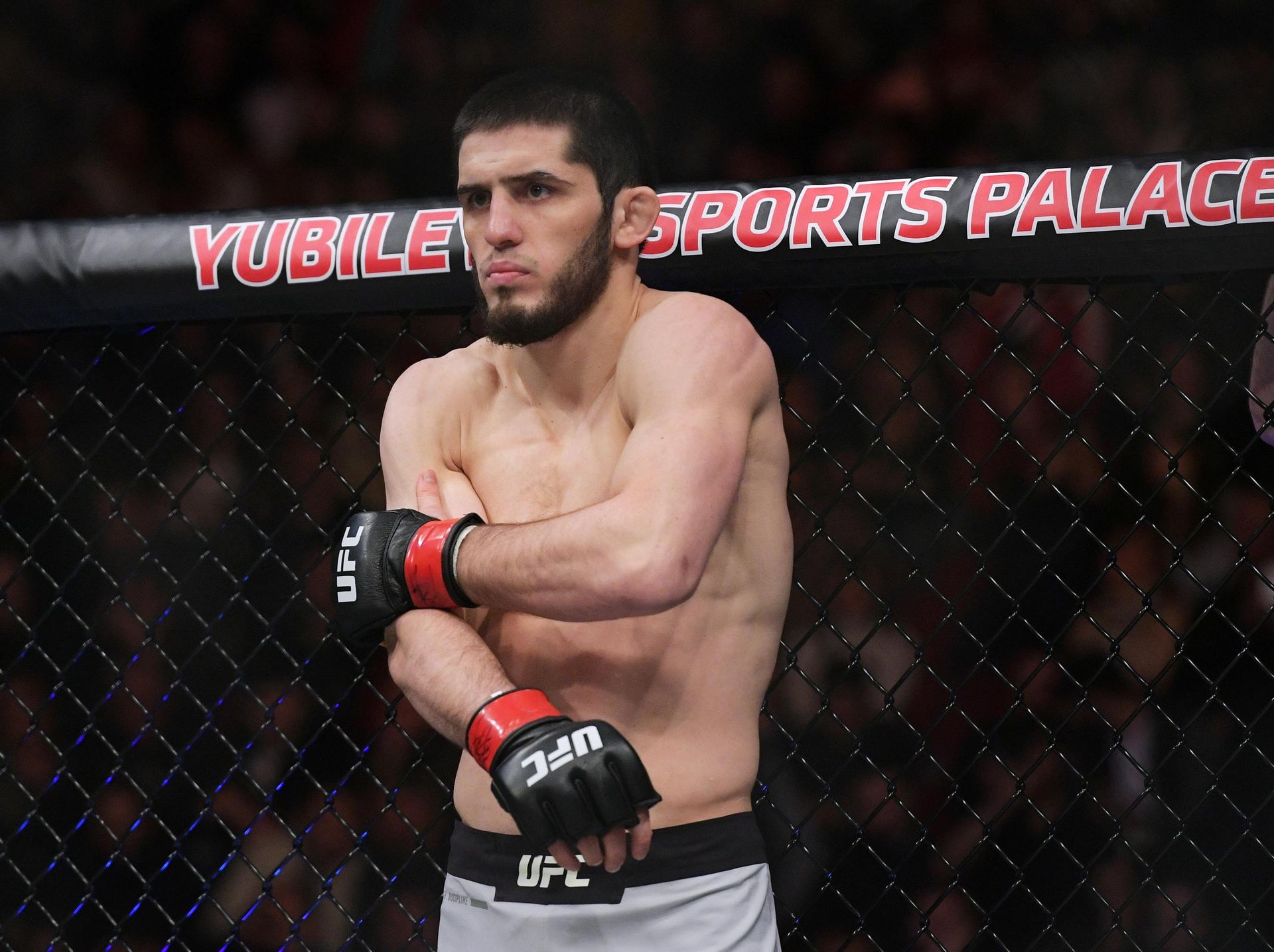 UFC Fight Night в Санкт-Петербурге UFC Fight Night в Санкт-Петербурге - РИА Новости, 1920, 26.10.2020
