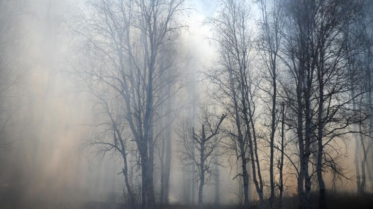 Дым от лесного пожара у поселка Маккавеево Забайкальского края