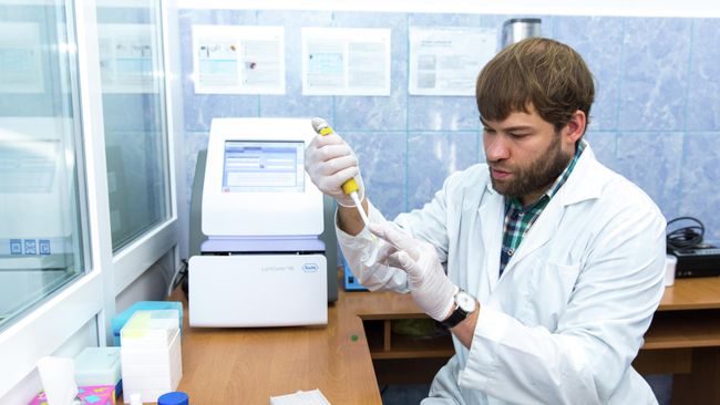 Владимир Оберемок проводит исследования по созданию oligoRIBO-11-инсектицида Владимир Оберемок проводит исследования по созданию oligoRIBO-11-инсектицида