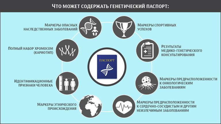Что может содержать генетический паспорт Что может содержать генетический паспорт