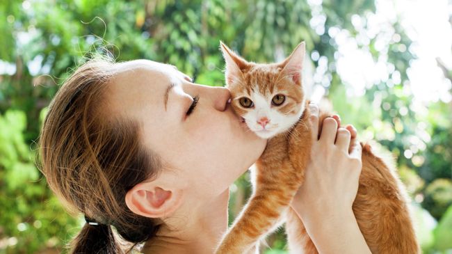 Девушка целует кота Девушка целует кота
