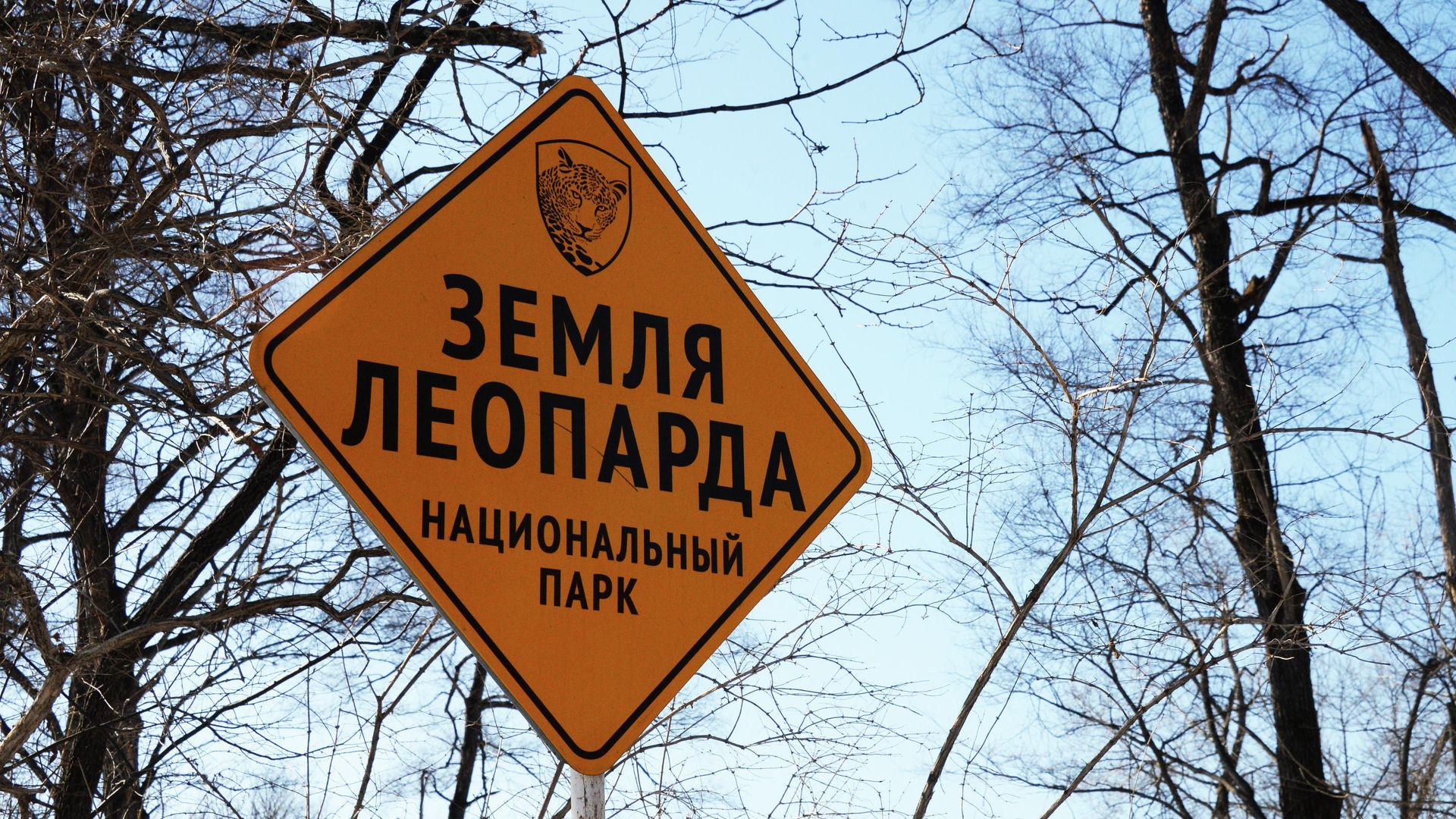Нацпарк Земля леопарда - РИА Новости, 1920, 19.02.2025