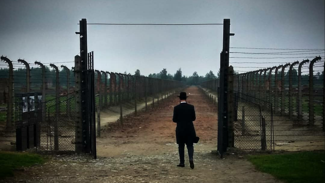 Посетитель музея Аушвиц-Биркенау в Польше Посетитель музея Аушвиц-Биркенау в Польше