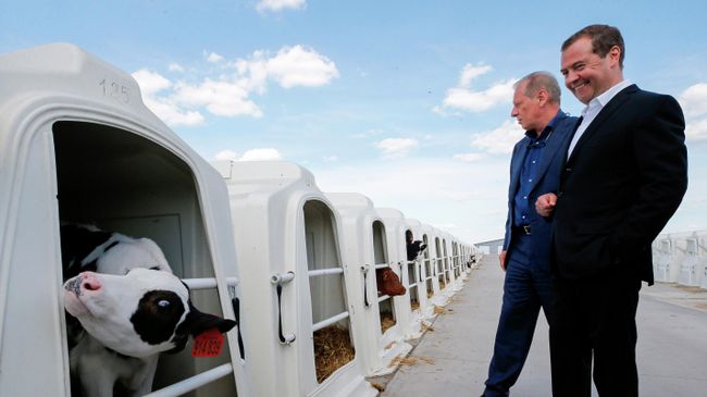 Председатель правительства РФ Дмитрий Медведев во время посещения сельскохозяйственного предприятия в Воронежской области Председатель правительства РФ Дмитрий Медведев во время посещения сельскохозяйственного предприятия в Воронежской области