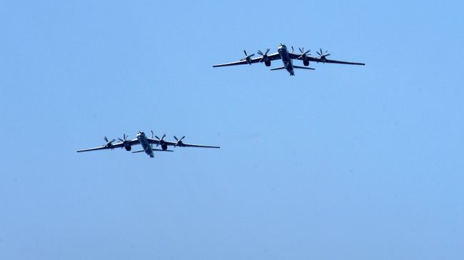 Самолеты Ту-95 Самолеты Ту-95
