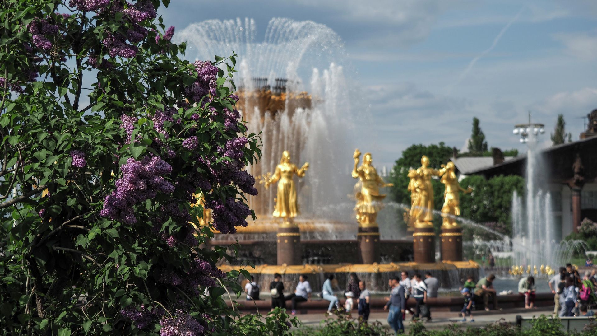 Цветение сирени на ВДНХ в Москве Цветение сирени на ВДНХ в Москве - РИА Новости, 1920, 01.05.2024