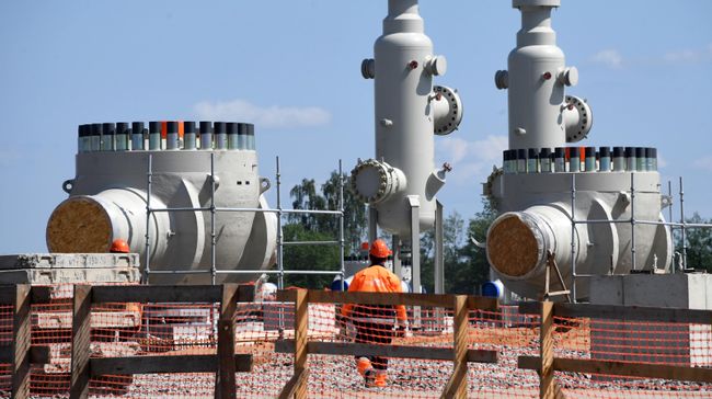 Рабочий на участке строительства газопровода Северный поток-2 в Ленинградской области Рабочий на участке строительства газопровода Северный поток-2 в Ленинградской области