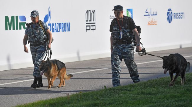 Сотрудники полиции со служебными собаками Сотрудники полиции со служебными собаками