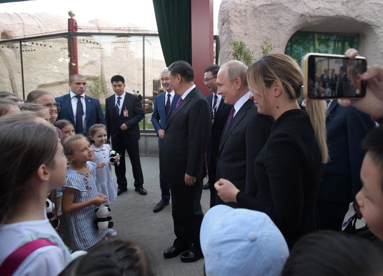 Владимир Путин и председатель КНР Си Цзиньпин принимают участие в официальной церемонии передачи правительством Китая двух больших панд Московскому зоопарку. 5 июня 2019