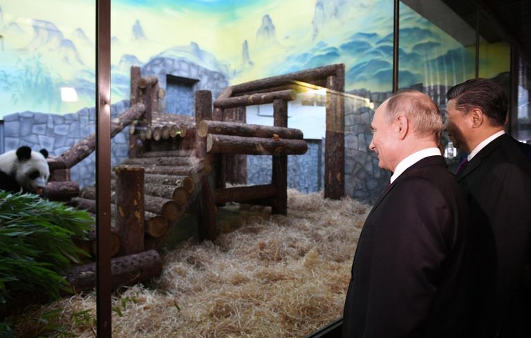 Президент РФ Владимир Путин и председатель Китайской Народной Республики (КНР) Си Цзиньпин принимают участие в официальной церемонии передачи правительством Китая двух больших панд Московскому зоопарку