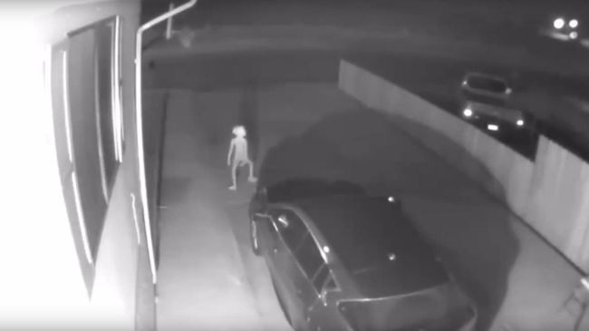 Американка сняла на видео эльфа около своего дома Американка сняла на видео эльфа около своего дома