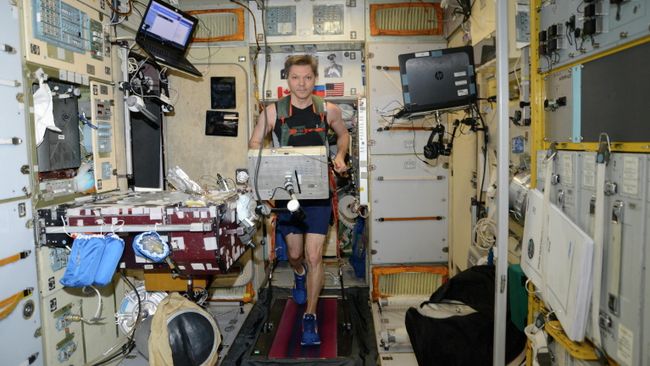 Российский космонавт Олег Кононенко бегает на российской дорожке БД-2 в модуле Звезда на МКС Российский космонавт Олег Кононенко бегает на российской дорожке БД-2 в модуле Звезда на МКС