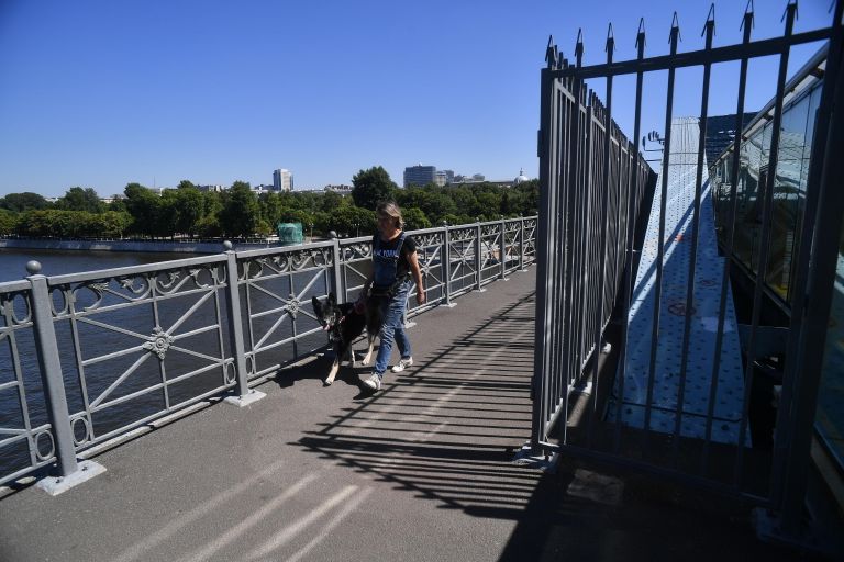 Пешеходный Пушкинский мост в Москве