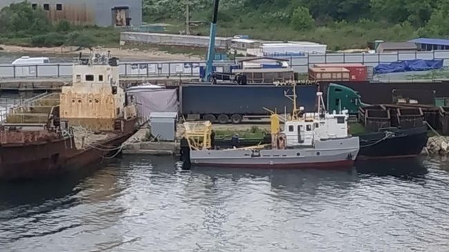 Косаток и белух в бухте Средняя в Приморье начали грузить в машины для выпуска. 20 июня 2019 Косаток и белух в бухте Средняя в Приморье начали грузить в машины для выпуска. 20 июня 2019