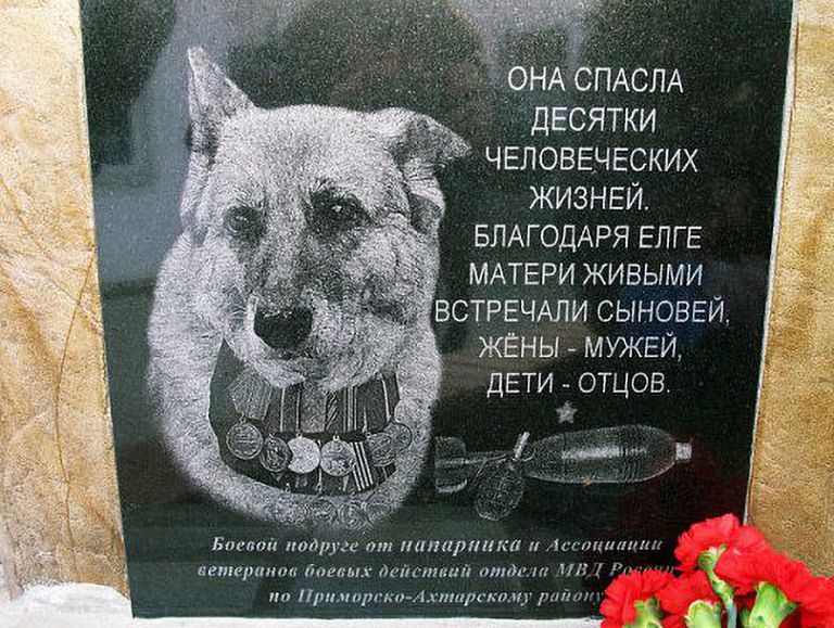 Пямятник овчарке по кличке Елга