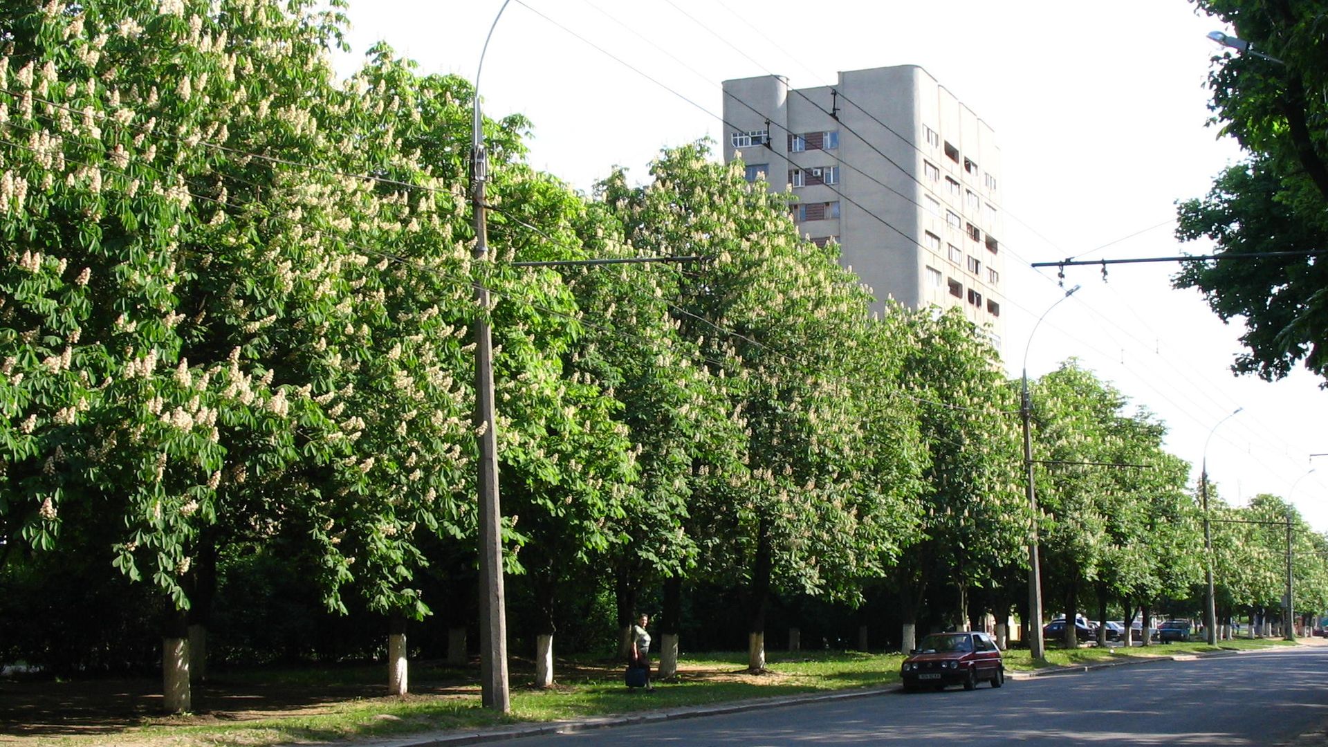 Ситуация в Харькове Ситуация в Харькове - РИА Новости, 1920, 03.06.2023
