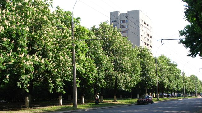 Проспект Маршала Жукова в Харькове Проспект Маршала Жукова в Харькове