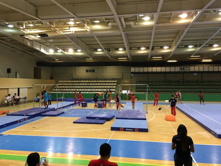 Юниорский чемпионат мира по спортивной гимнастике