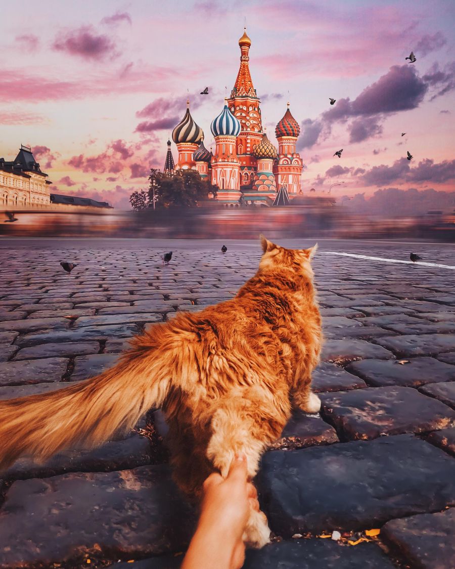 Котлетка на Красной Площади