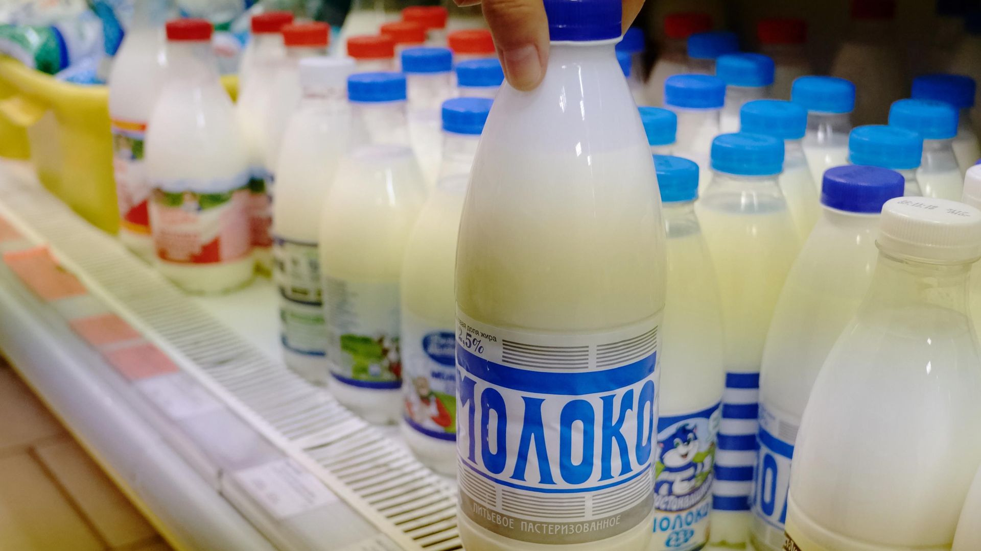 Покупатель держит в руках бутылку молока в магазине Полушка в Санкт-Петербурге Покупатель держит в руках бутылку молока в магазине Полушка в Санкт-Петербурге - РИА Новости, 1920, 01.09.2021