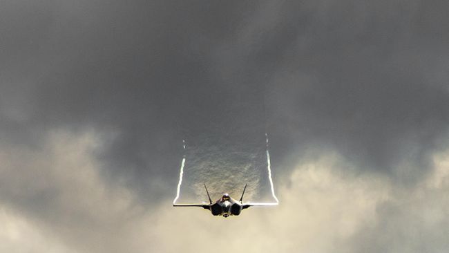 Истребитель F-35 Lightning II Истребитель F-35 Lightning II
