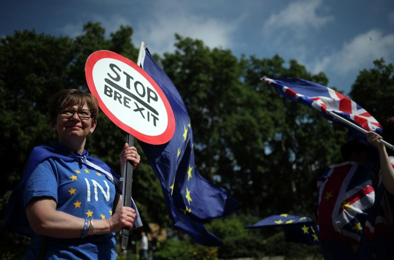 Противники Brexit у здания Парламента в Лондоне. 26 июня 2019 
