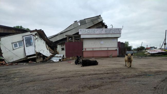 Последствия паводка в Тулунском районе Иркутской области Последствия паводка в Тулунском районе Иркутской области