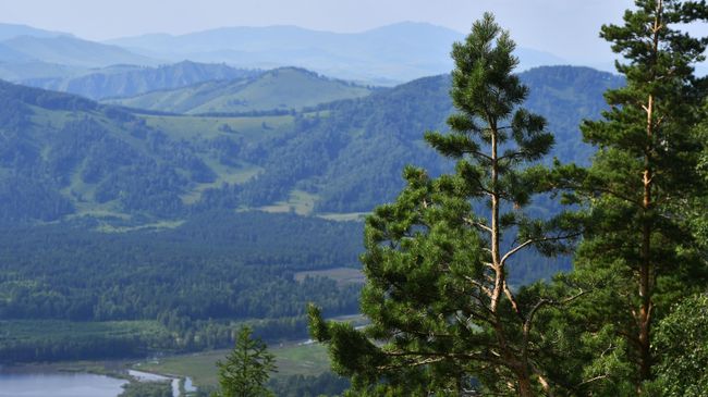 Природа в окрестностях всесезонного курорта Манжерок в Республике Алтай Природа в окрестностях всесезонного курорта Манжерок в Республике Алтай