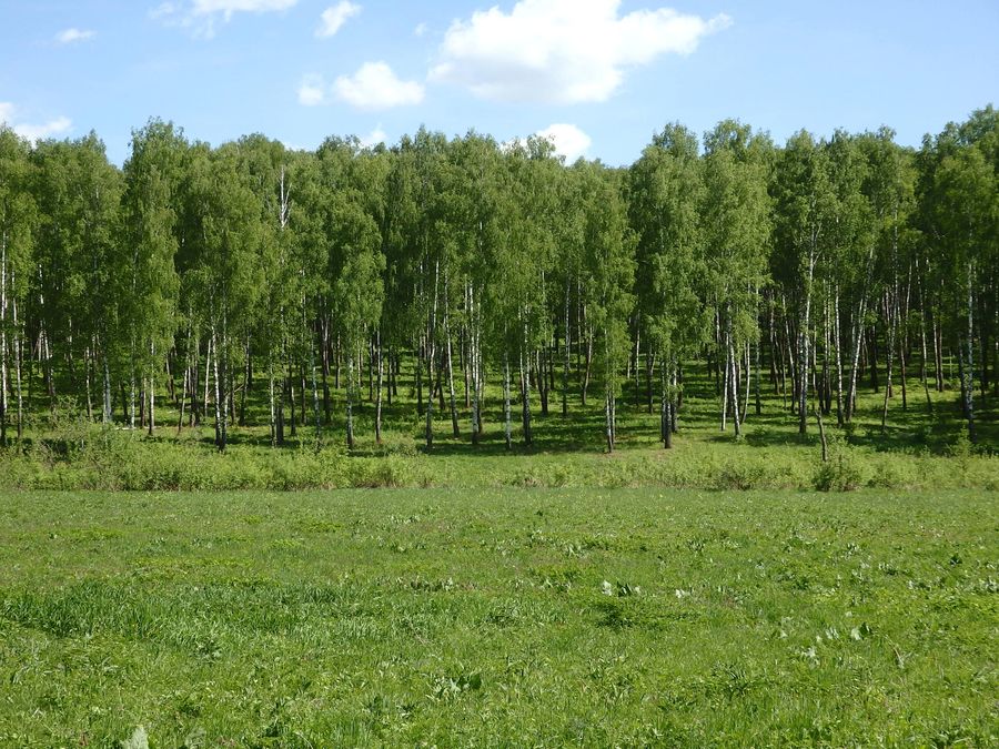Калинов луг Калинов луг