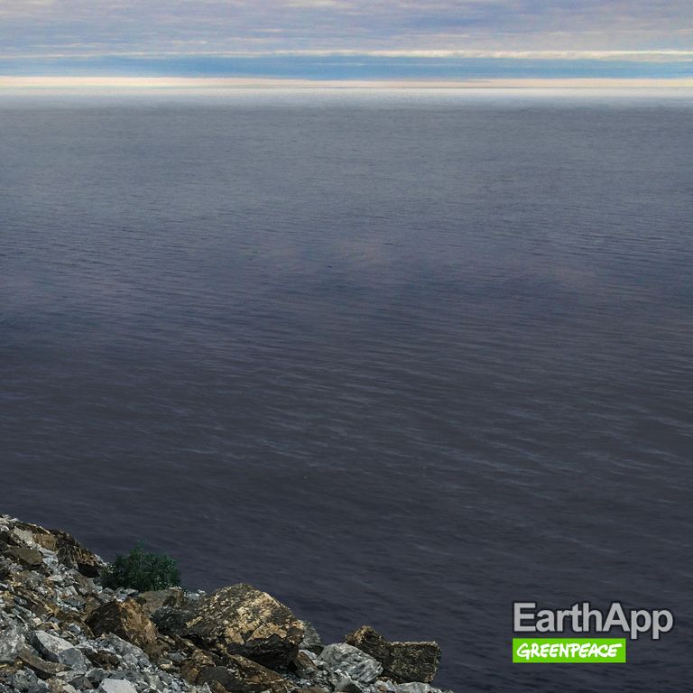 Фото, опубликованное Greenpeace России в рамках проекта EarthApp