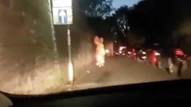 Стоп-кадр видео убегающего от полиции человек в ростовом костюме динозавра Стоп-кадр видео убегающего от полиции человек в ростовом костюме динозавра