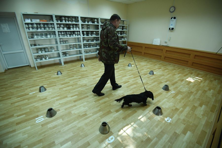 Так проходит ольфакторное исследование