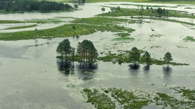 Территория, затопленная в результате разлива реки Селемджа, в Селемджинском районе Амурской области Территория, затопленная в результате разлива реки Селемджа, в Селемджинском районе Амурской области