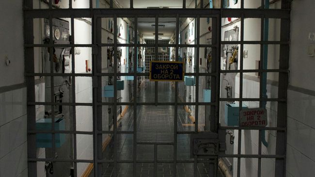 Колония Полярная сова Колония Полярная сова