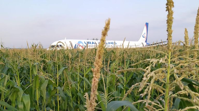 Экстренно севший в Жуковском A-321 Экстренно севший в Жуковском A-321