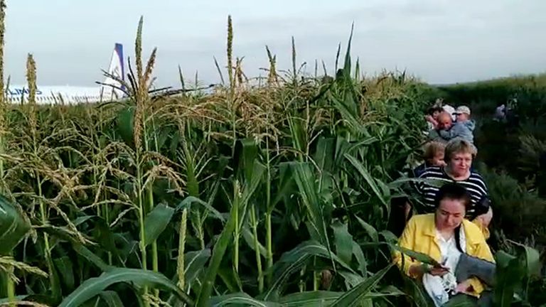 Самолет А-321 с пассажирами на борту совершил жесткую посадку в Подмосковье Самолет А-321 с пассажирами на борту совершил жесткую посадку в Подмосковье